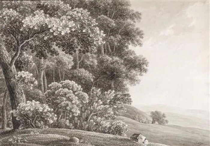 Paesaggio collinare